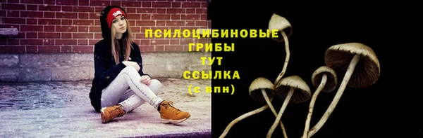 твердый Белоозёрский