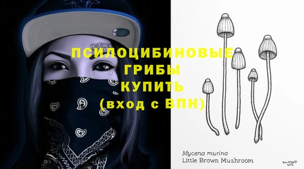 твердый Белоозёрский