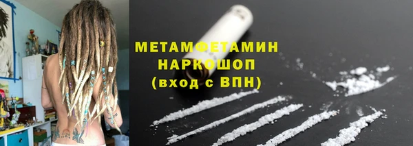 прущие грибы Белокуриха
