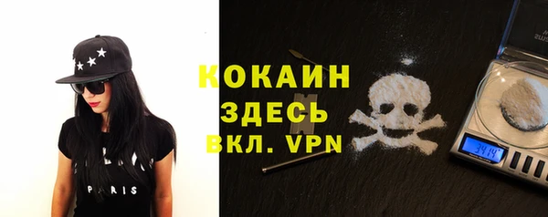 прущие грибы Белокуриха