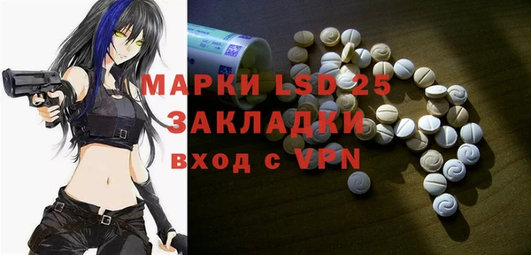 прущие грибы Белокуриха