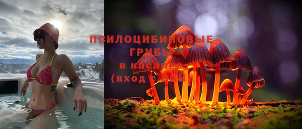 твердый Белоозёрский